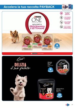 Volantino promozionale Carrefour  valide dal 02/01/2026 - Pagina 21.