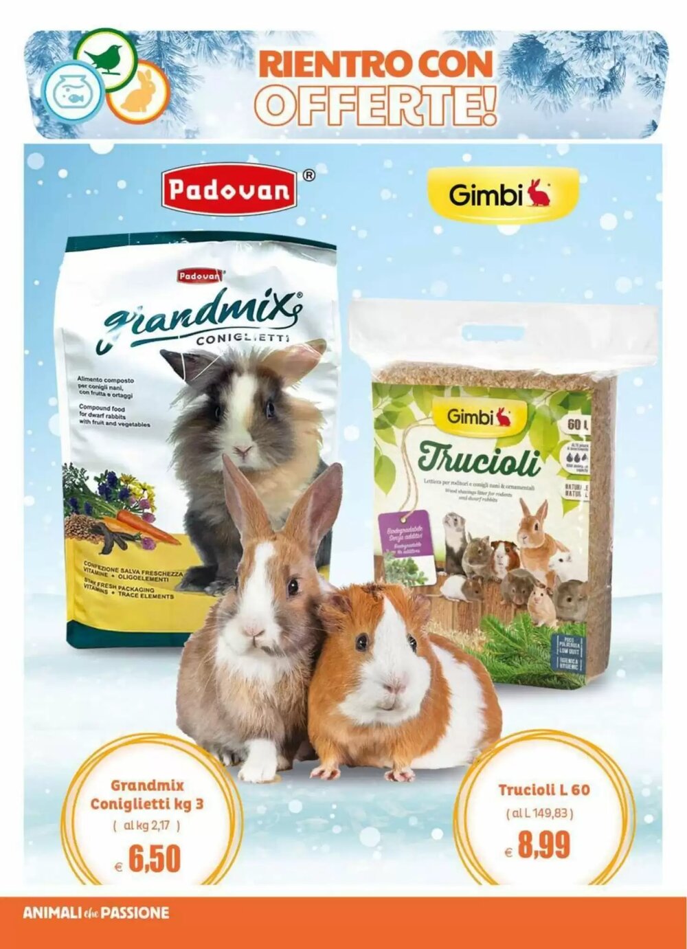 Volantino promozionale Elite Pet  valide dal 02/01/2026 - Pagina 14.