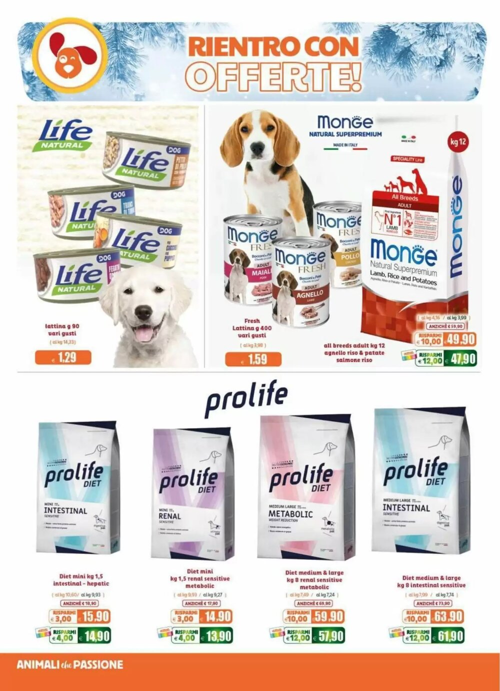 Volantino promozionale Elite Pet  valide dal 02/01/2026 - Pagina 4.
