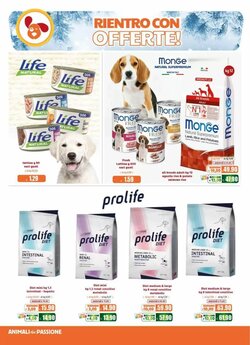 Volantino promozionale Elite Pet  valide dal 02/01/2026 - Pagina 4.