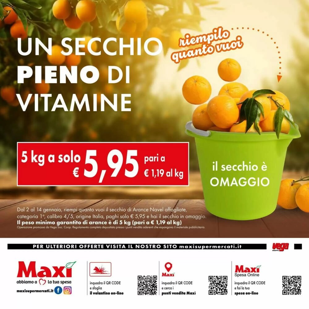 Volantino promozionale Maxi Supermercati  valide dal 02/01/2026 - Pagina 12.