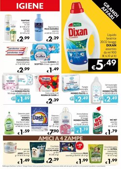 Volantino promozionale Maxi Family  valide dal 02/01/2026 - Pagina 7.