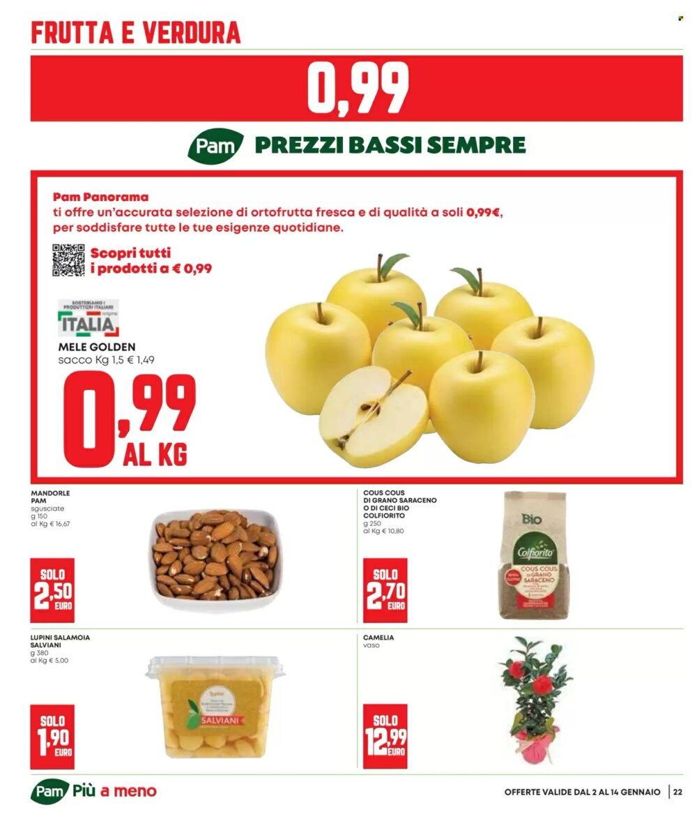 Volantino promozionale Panorama  valide dal 02/01/2026 - Pagina 22.