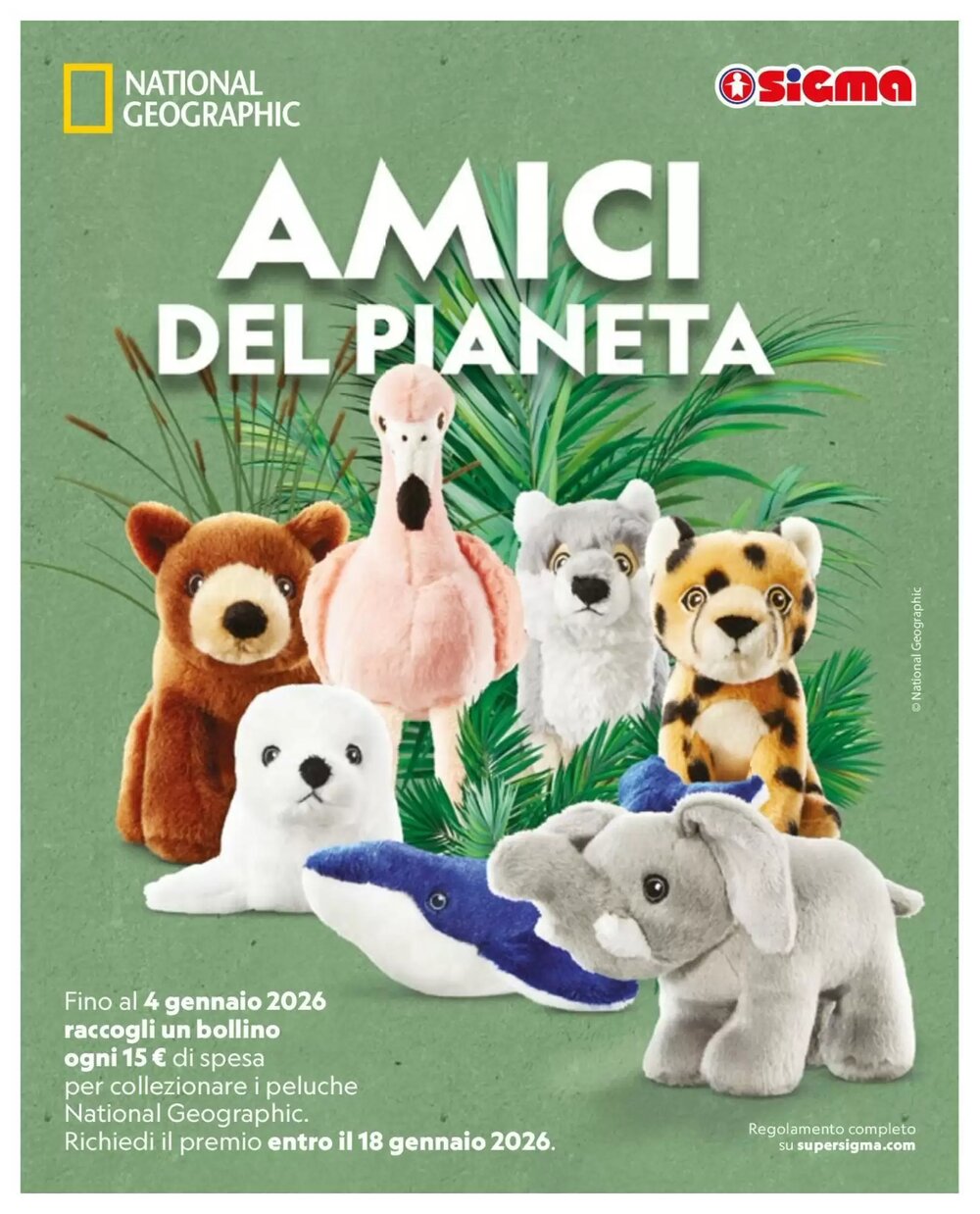 Volantino promozionale Ok Sigma  valide dal 02/01/2026 - Pagina 11.