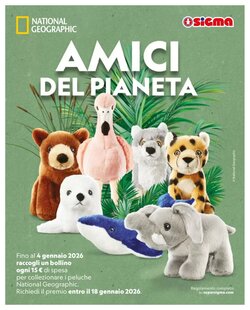 Volantino promozionale Ok Sigma  valide dal 02/01/2026 - Pagina 11.