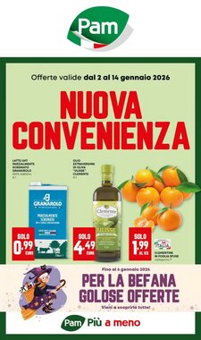 Volantino promozionale Panorama  valide dal 02/01/2026 - Pagina 1.