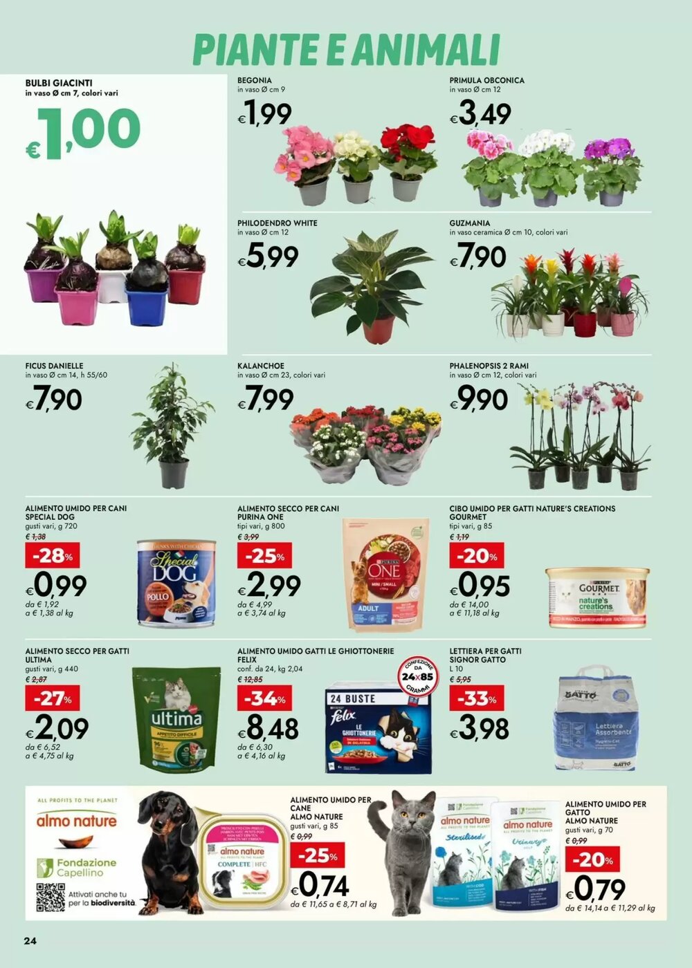 Volantino promozionale Bennet  valide dal 02/01/2026 - Pagina 24.