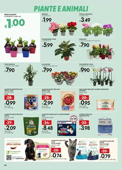 Volantino promozionale Bennet  valide dal 02/01/2026 - Pagina 24.