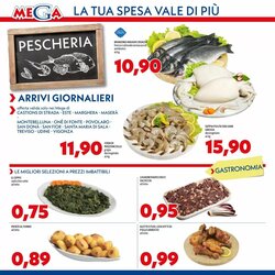 Volantino promozionale MEGA  valide dal 02/01/2026 - Pagina 2.