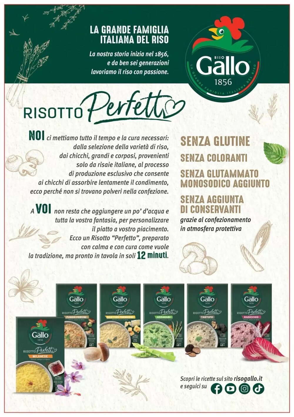 Volantino promozionale Coop Master Alleanza 3.0  valide dal 02/01/2026 - Pagina 24.