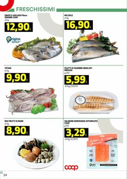 Volantino promozionale Ipercoop  valide dal 02/01/2026 - Pagina 14.