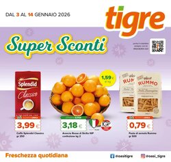 Volantino promozionale Tigre  valide dal 03/01/2026 - Pagina 1.