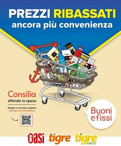 Volantino promozionale Tigre Amico  valide dal 03/01/2026 - Pagina 11.