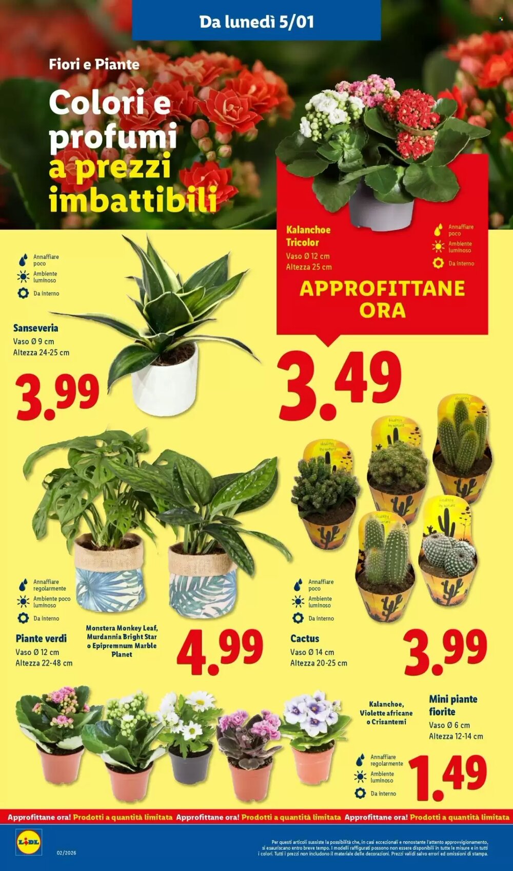 Volantino promozionale Lidl valide dal 05/01/2026 - Pagina 36.