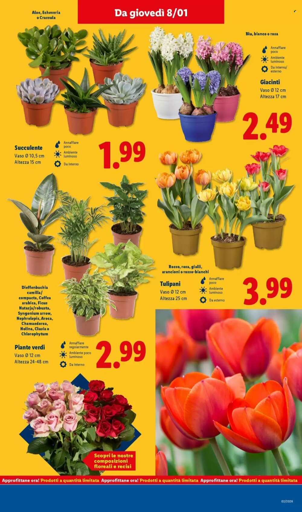 Volantino promozionale Lidl valide dal 05/01/2026 - Pagina 37.
