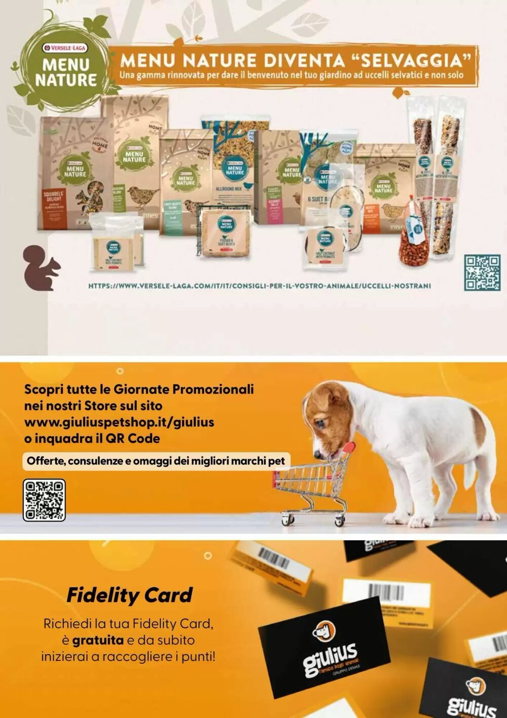 Volantino promozionale Giulius  valide dal 05/01/2026 - Pagina 12.