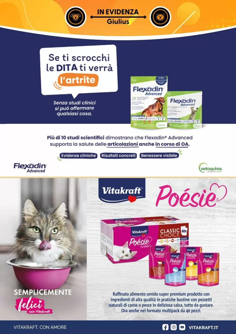 Volantino promozionale Giulius  valide dal 05/01/2026 - Pagina 3.