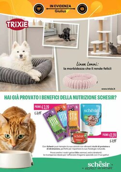 Volantino promozionale Giulius  valide dal 05/01/2026 - Pagina 7.