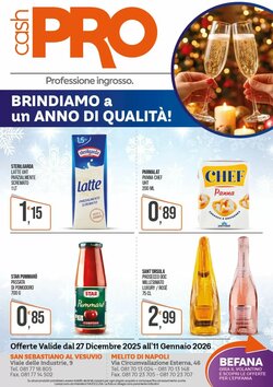 Volantino promozionale Cash pro  valide dal 05/01/2026 - Pagina 13.