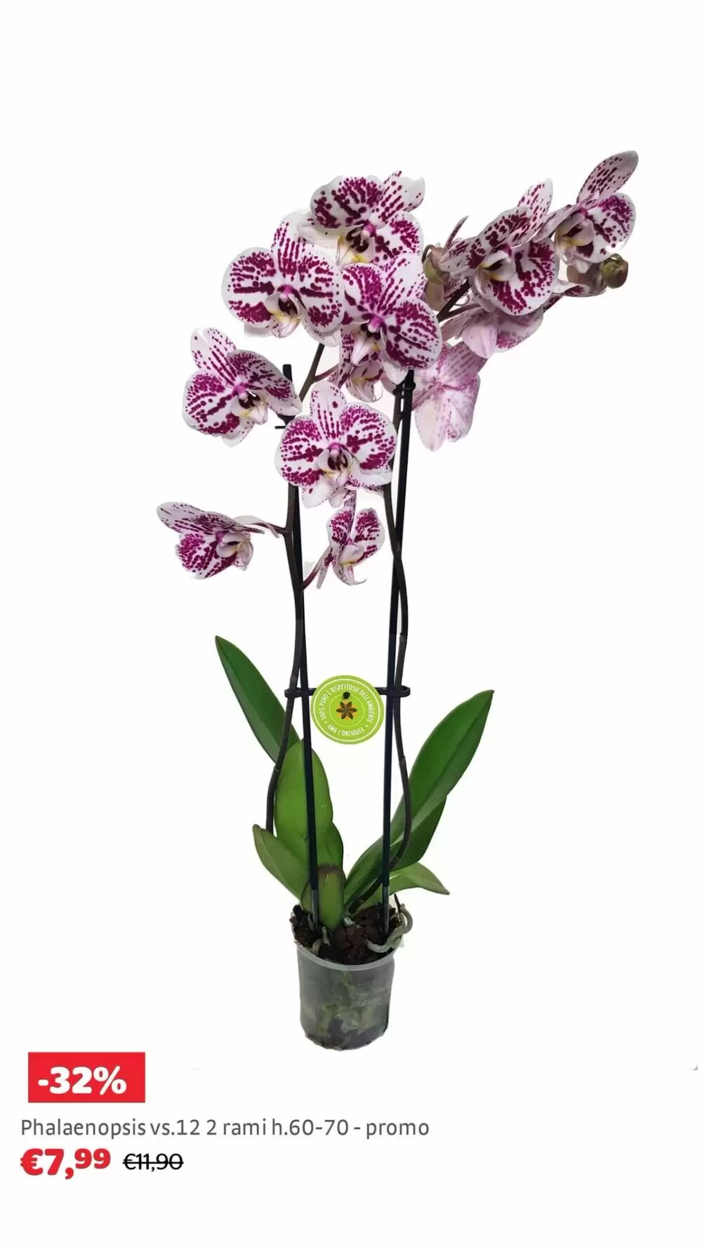 Volantino promozionale Bricocenter  valide dal 05/01/2026 - Pagina 23.