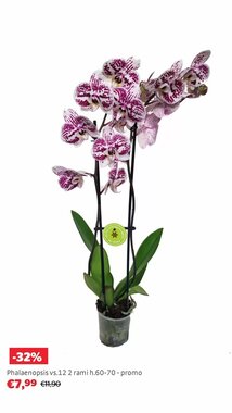 Volantino promozionale Bricocenter  valide dal 05/01/2026 - Pagina 23.