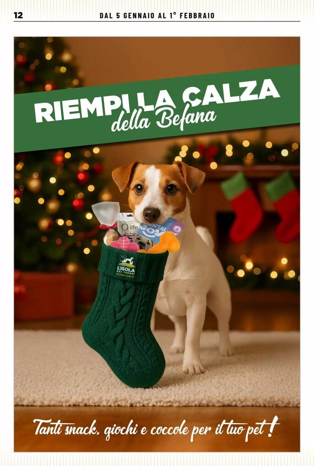 Volantino promozionale L´Isola dei Tesori  valide dal 05/01/2026 - Pagina 12.