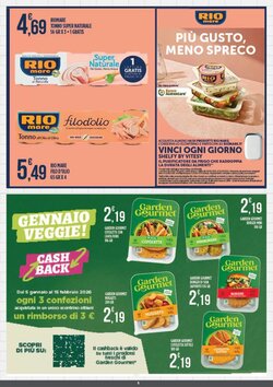 Volantino promozionale Euroesse  valide dal 07/01/2026 - Pagina 15.