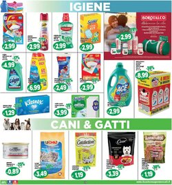 Volantino promozionale Il Castoro Supermercati  valide dal 07/01/2026 - Pagina 19.