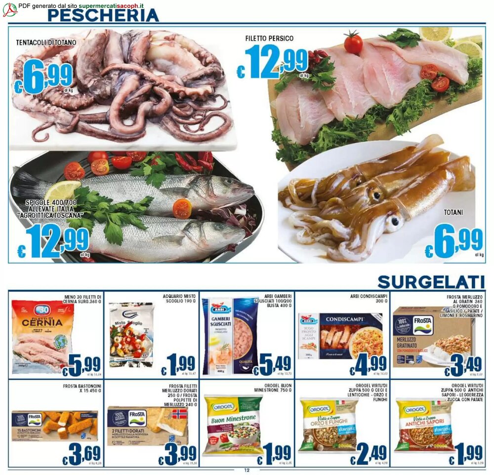 Volantino promozionale Sacoph  valide dal 07/01/2026 - Pagina 12.