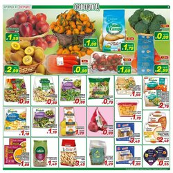 Volantino promozionale Idromarket  valide dal 07/01/2026 - Pagina 9.