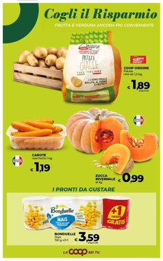 Volantino promozionale Coop  valide dal 08/01/2026 - Pagina 17.