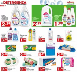 Volantino promozionale Pellicano  valide dal 08/01/2026 - Pagina 14.