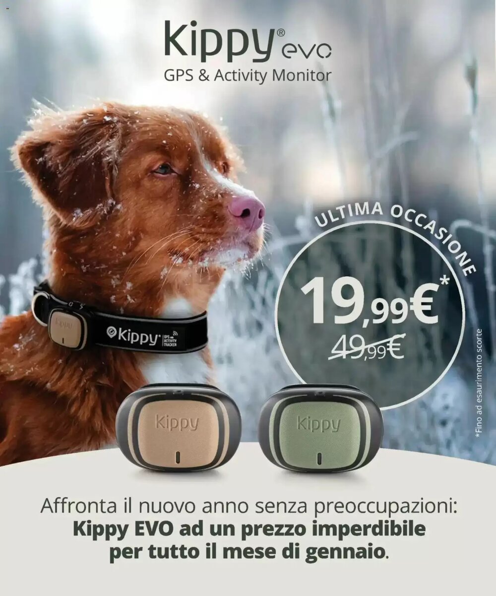 Volantino promozionale Arcaplanet  valide dal 08/01/2026 - Pagina 12.