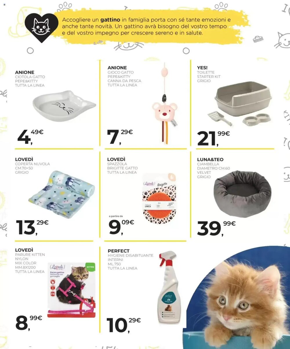 Volantino promozionale Arcaplanet  valide dal 08/01/2026 - Pagina 17.