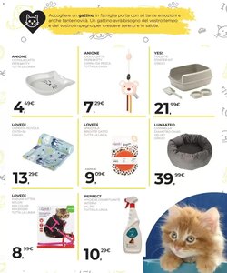 Volantino promozionale Arcaplanet  valide dal 08/01/2026 - Pagina 17.