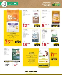 Volantino promozionale Arcaplanet  valide dal 08/01/2026 - Pagina 4.