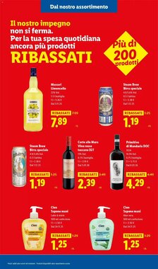 Volantino promozionale Lidl  valide dal 08/01/2026 - Pagina 33.