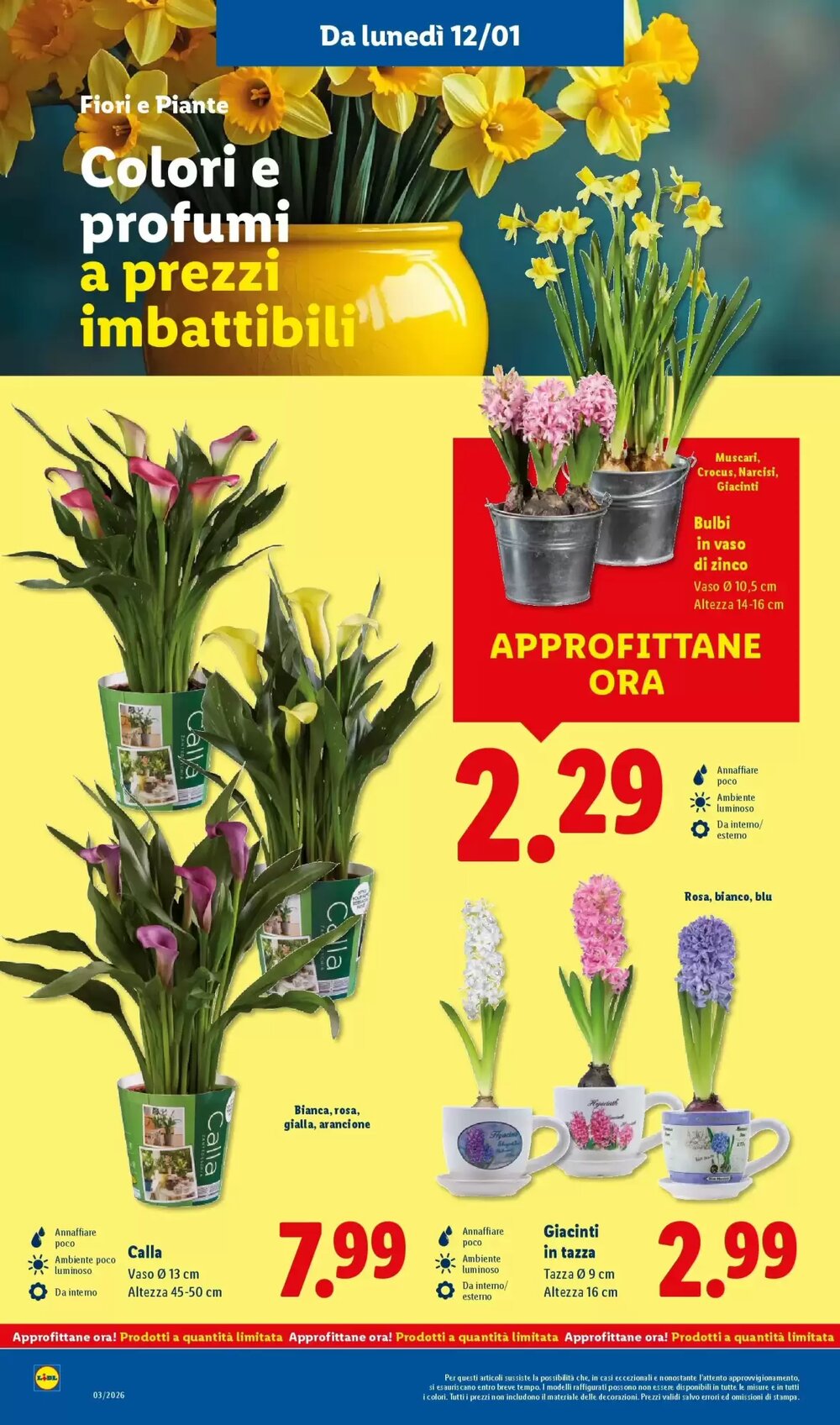 Volantino promozionale Lidl  valide dal 08/01/2026 - Pagina 38.