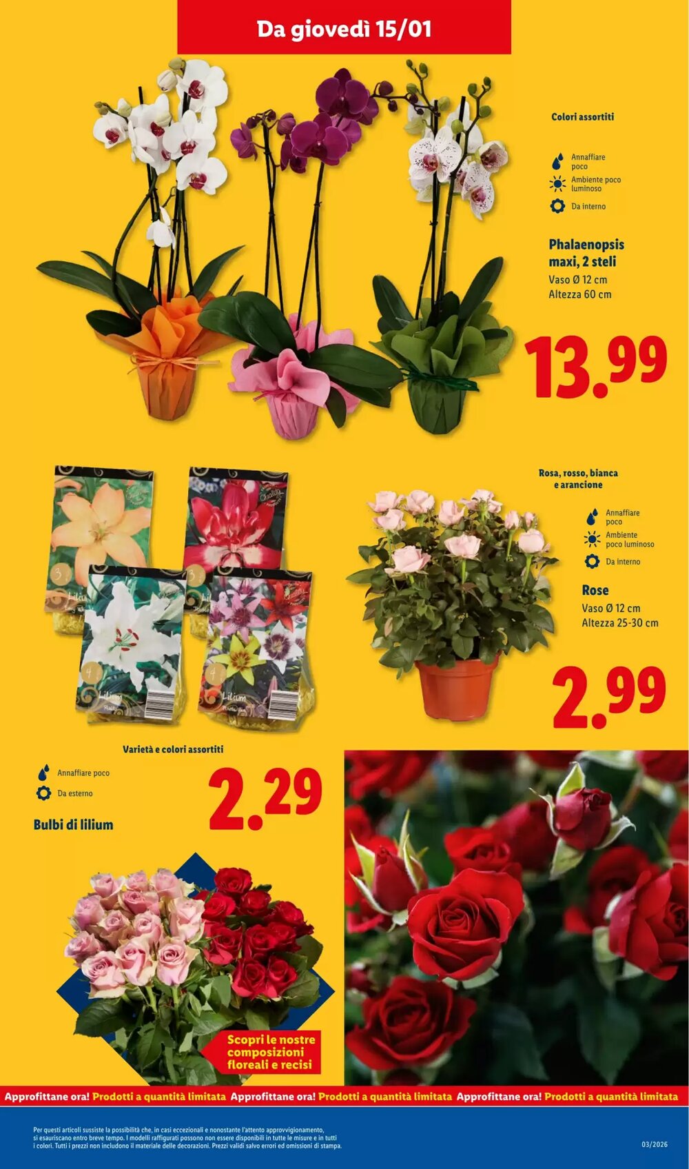 Volantino promozionale Lidl  valide dal 12/01/2026 - Pagina 39.