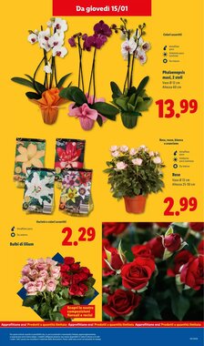 Volantino promozionale Lidl  valide dal 12/01/2026 - Pagina 39.