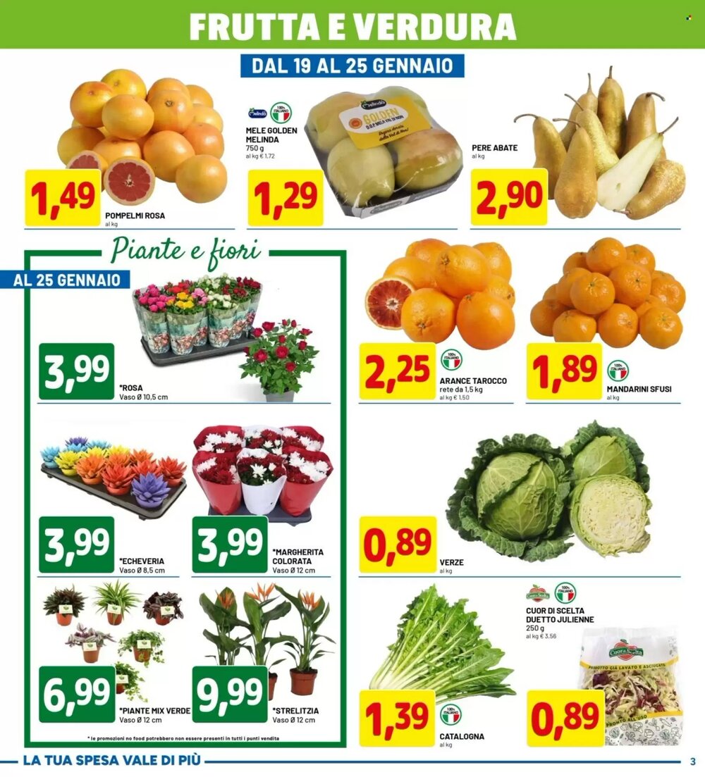Volantino promozionale DPiù  valide dal 12/01/2026 - Pagina 3.