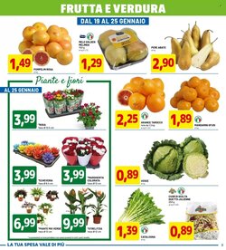 Volantino promozionale DPiù  valide dal 12/01/2026 - Pagina 3.