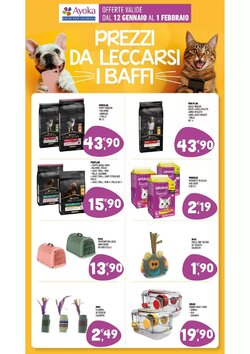 Volantino promozionale Ayoka  valide dal 12/01/2026 - Pagina 11.