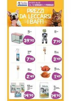 Volantino promozionale Ayoka  valide dal 12/01/2026 - Pagina 12.