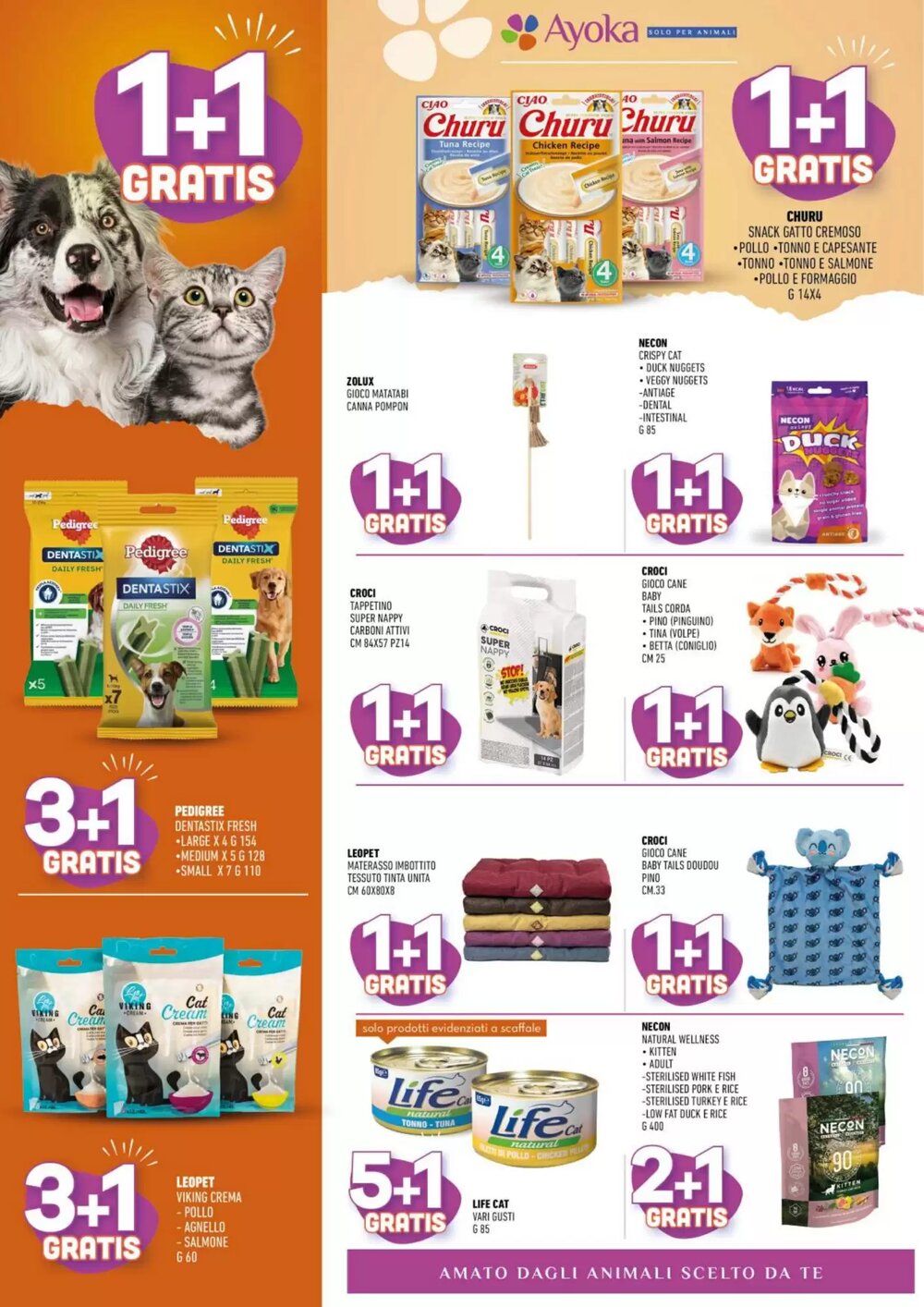 Volantino promozionale Ayoka  valide dal 12/01/2026 - Pagina 2.