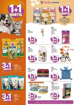 Volantino promozionale Ayoka  valide dal 12/01/2026 - Pagina 2.