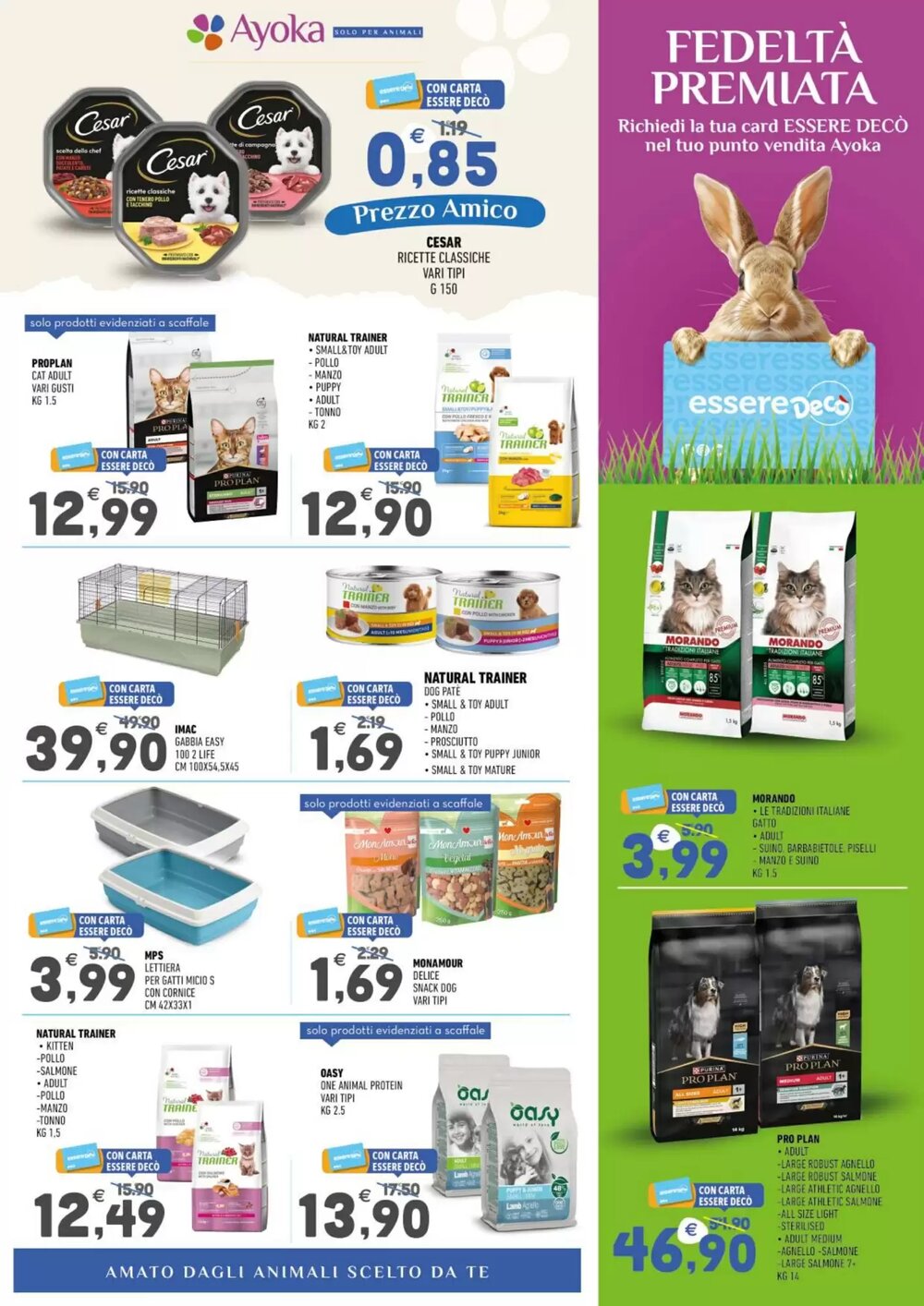 Volantino promozionale Ayoka  valide dal 12/01/2026 - Pagina 3.