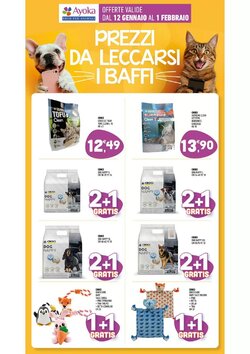 Volantino promozionale Ayoka  valide dal 12/01/2026 - Pagina 9.