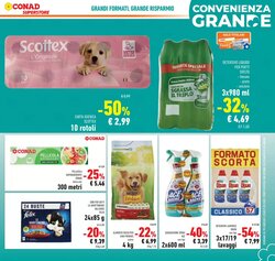 Volantino promozionale Conad Superstore  valide dal 12/01/2026 - Pagina 9.