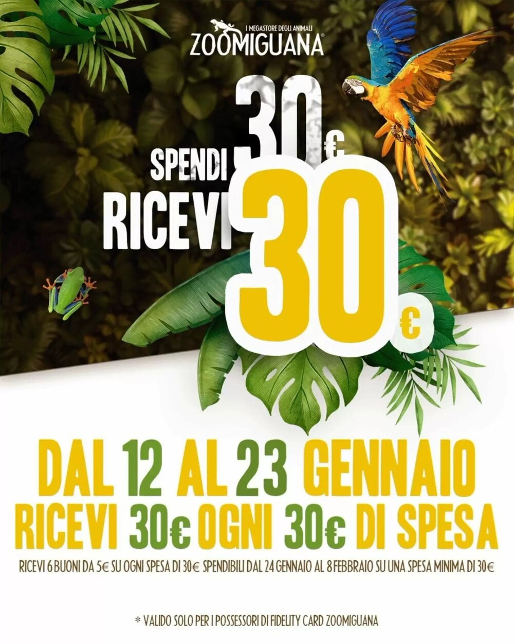 Volantino promozionale Zoomiguana  valide dal 12/01/2026 - Pagina 1.